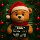 teddyfix