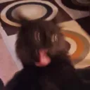 b1doofus