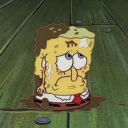 xxsillyducksxx#1674's avatar