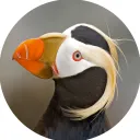 birbnerb