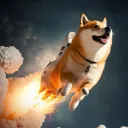 rocketdoge_