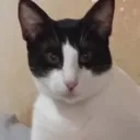 _gggames