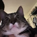 kwagpin