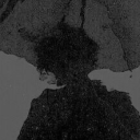 avatar nottwally(¿)