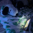 avatar nottwally(¿)