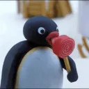 pengure_shy
