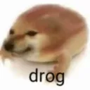 vaqquixx8