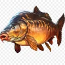 goldfishoriginal
