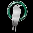 drongo2525