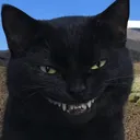 murkydyl