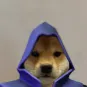 verygood2762