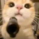 avatar Pierre-Henri Calmes