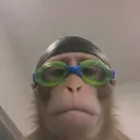goodboy7