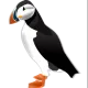 siggi_o