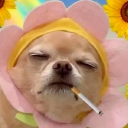 avatar 𝔐𝔞𝔯𝔠𝔶