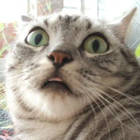 feaksun1002's Avatar