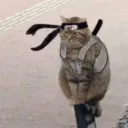 peteklee