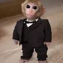 zitto_o