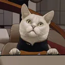 thebeepy