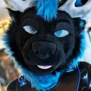 nirowolfy