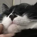 owcne