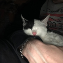 avatar i just stole a kia