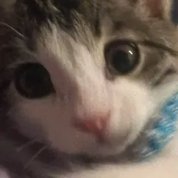 Pyronium's Avatar