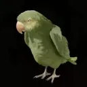 ryoryoryo0o