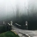 ave.llino