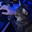jakeyboiiixd