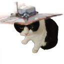 447333984230's Avatar