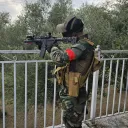 lobo_portuga