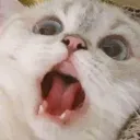 kr1113