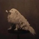 soapysopie