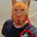 toastyybunss