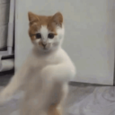 Killing_Jerk