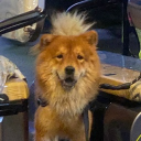 avatar Seresa