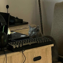 avatar Check Surroundings For Safety