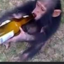 avatar Here For The Violent