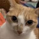 avatar Sen (read bio)