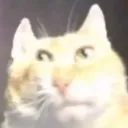 xxsupersaraxx