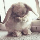 avatar nayla  >.<
