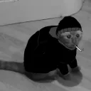 vasssap