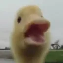 faditnx