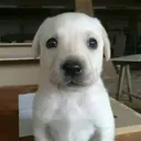 ohnoeverett