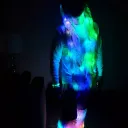 Bruteroot02's Avatar