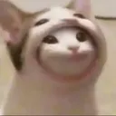bill_tn