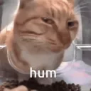 _odz