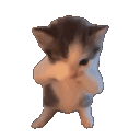 _alexfr