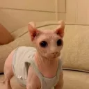itinmantv